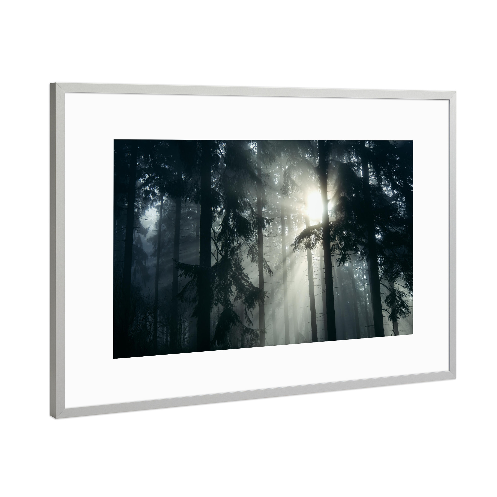Poster mit Rahmen Silber "Waldmotiv mit Lichtstrahlen" artboxONE - Natur