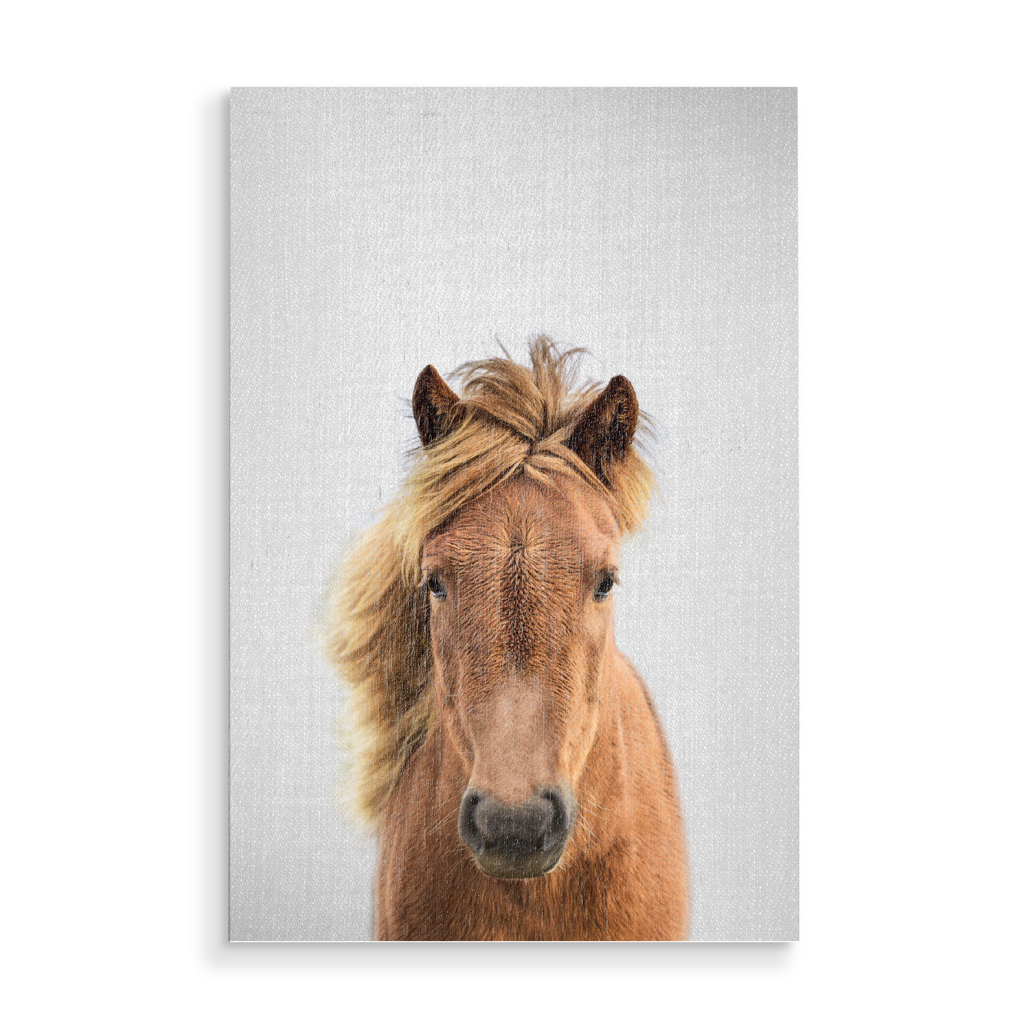 Holzbild "Horse - Colorful" artboxONE - Tiere
