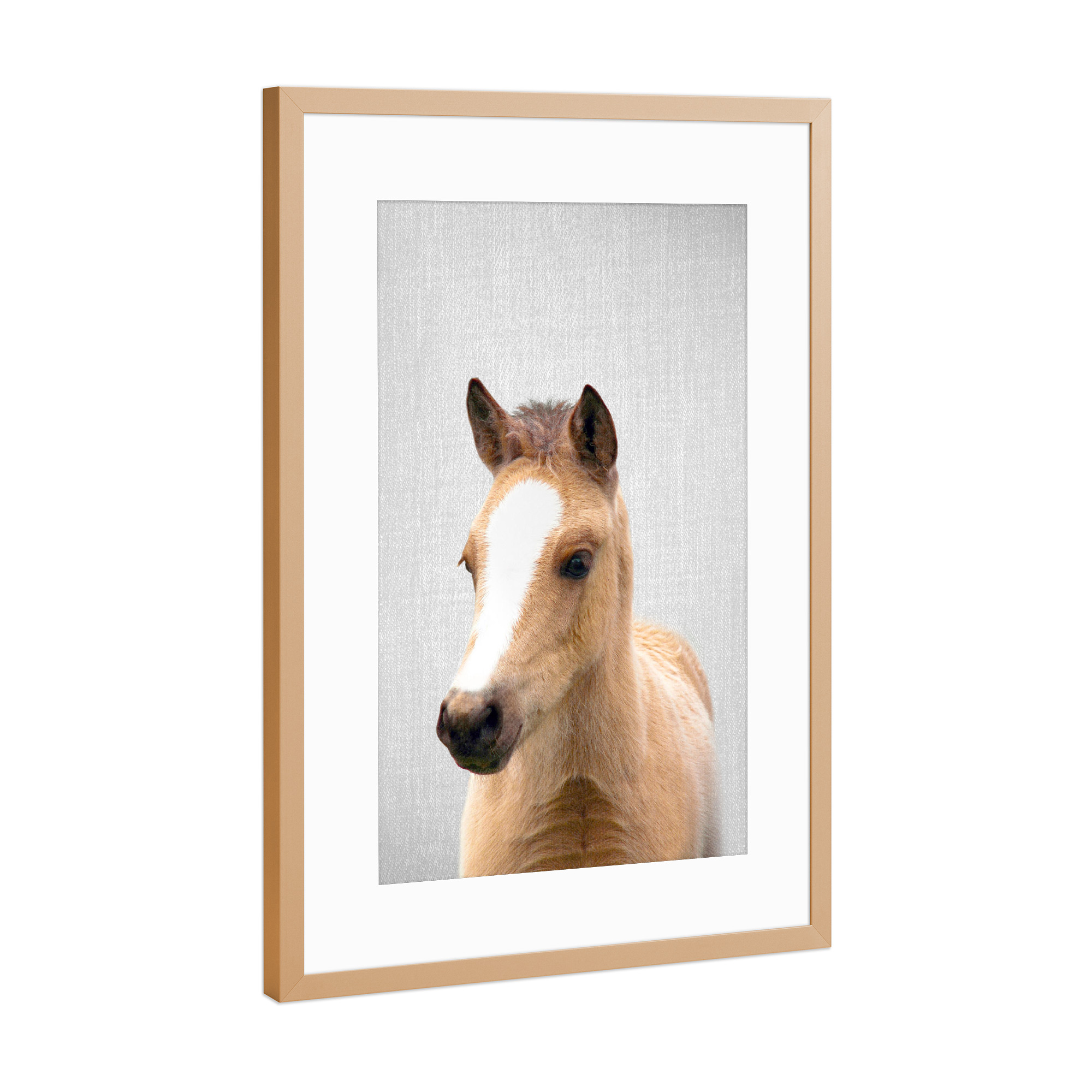 Poster mit Rahmen Kupfer "Baby Horse - Colorful" artboxONE - Tiere