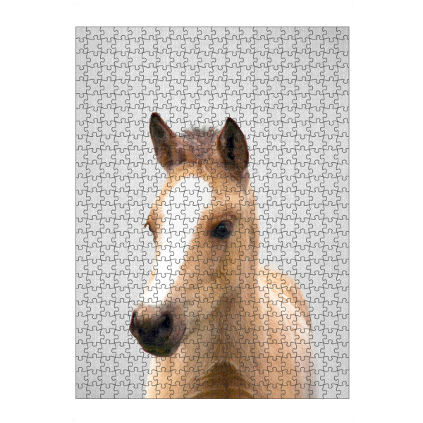 artboxONE Puzzle "Baby Horse - Colorful" artboxONE - Tiere