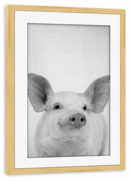 Poster mit Rahmen kiefer "Pig - Black & White" artboxONE - Tiere,Schwarzweiß