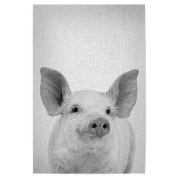 Poster 30x20 cm "Pig - Black & White" artboxONE - Tiere,Schwarzweiß