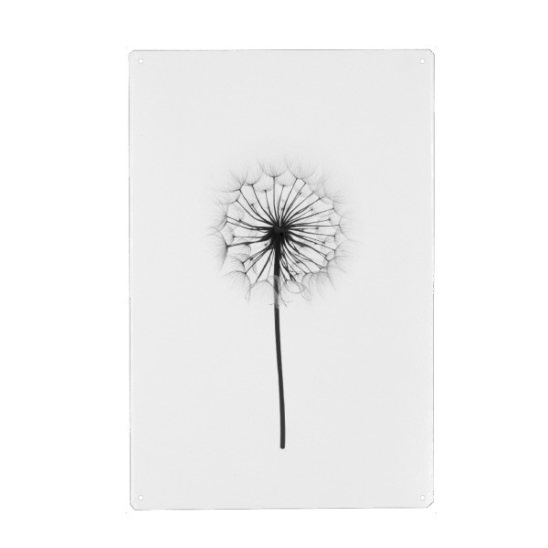 Holzbild "Black and white Dandelion" artboxONE - Floral,Schwarzweiß - Dandelion,Minimalist,Blackandwhite,Minimal,Plant,Floral,Botanical