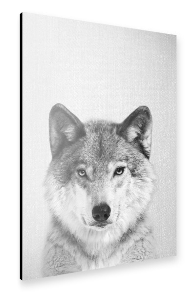 Alu-Dibond "Wolf - Black & White" 30x20 cm artboxONE