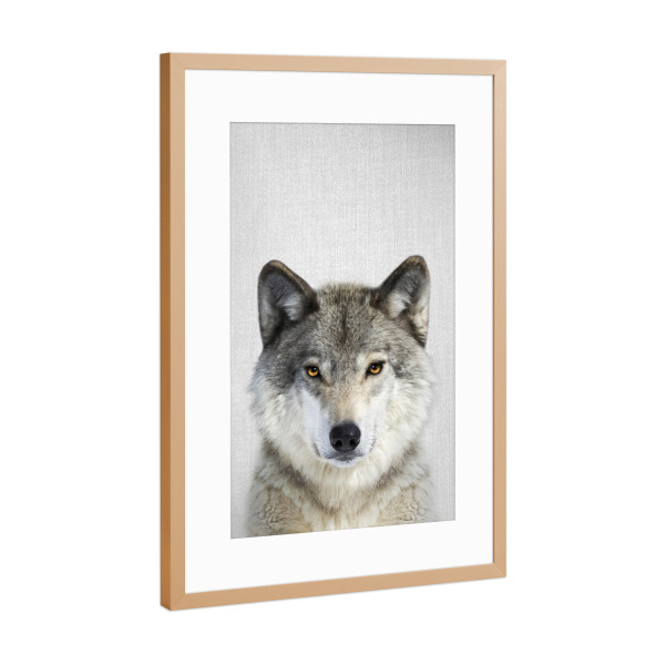 Poster mit Rahmen Kupfer "Wolf - Colorful" artboxONE - Tiere