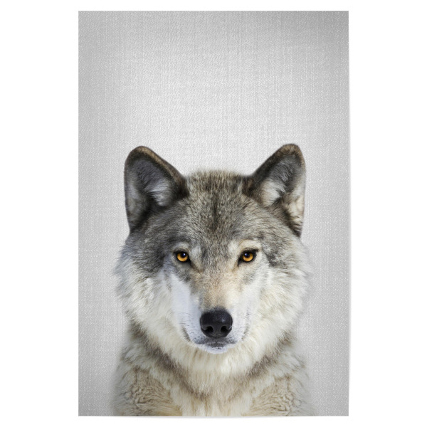 Poster 30x20 cm "Wolf - Colorful" artboxONE - Tiere