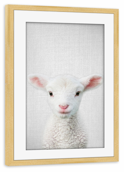 Poster mit Rahmen kiefer "Lamb - Colorful" artboxONE - Tiere