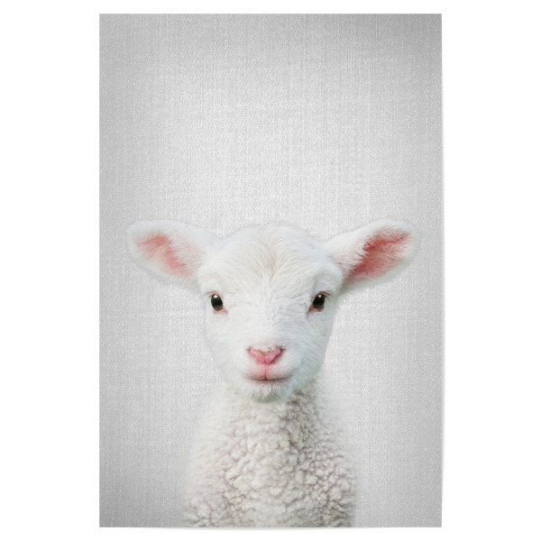 Poster 30x20 cm "Lamb - Colorful" artboxONE - Tiere