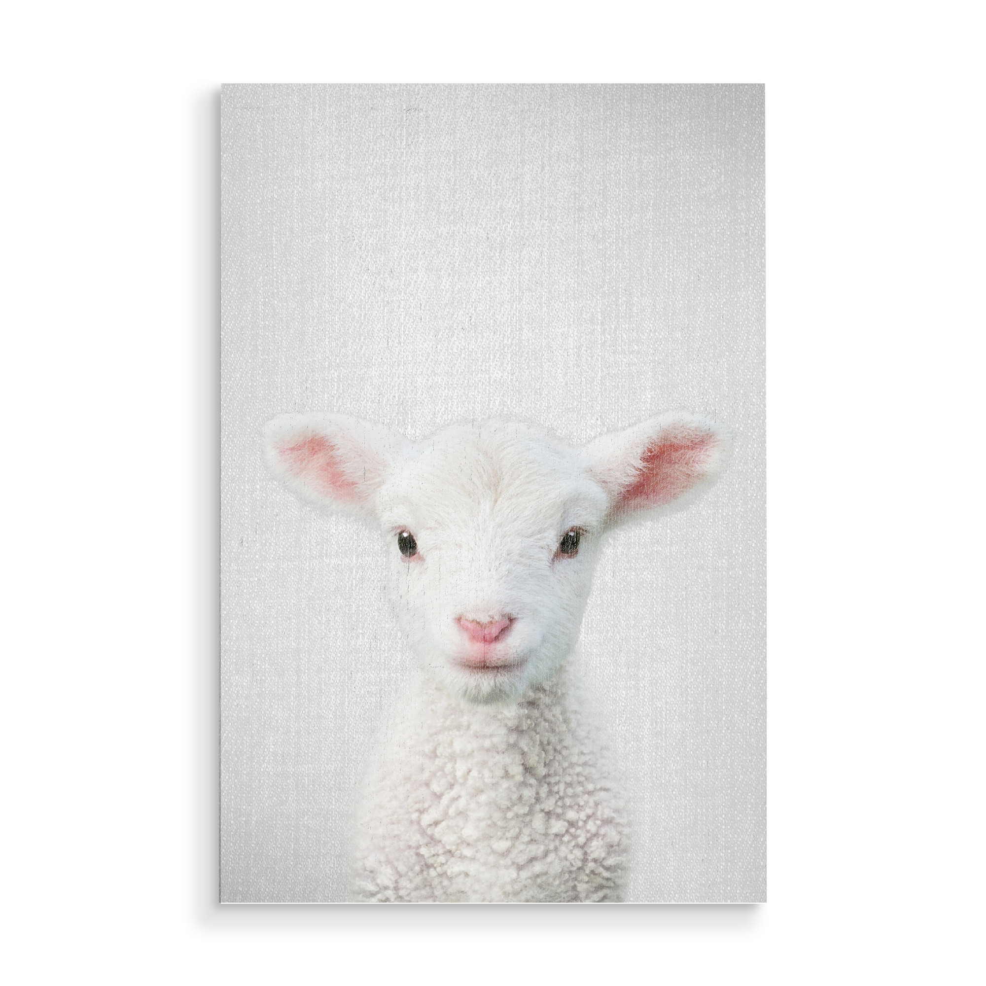 Holzbild "Lamb - Colorful" artboxONE - Tiere
