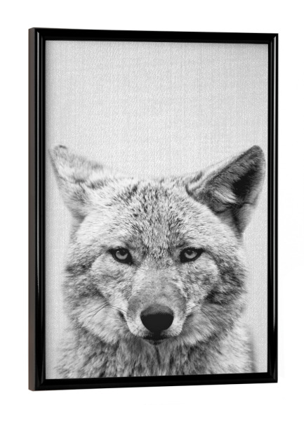 Poster mit schwarzem Rahmen "Coyote - Black & White" artboxONE - Tiere,Schwarzweiß