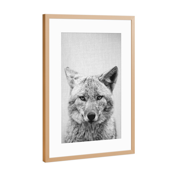 Poster mit Rahmen Kupfer "Coyote - Black & White" artboxONE - Tiere,Schwarzweiß