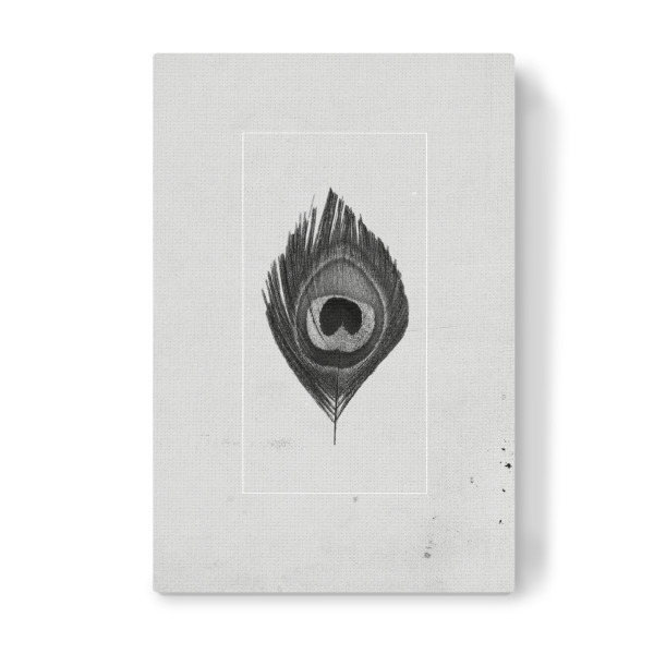 Leinwandbild "Graue Feder" artboxONE - Tiere,Schwarzweiß - Feder,Grau,Beton,Vogel,Natur,Gefieder