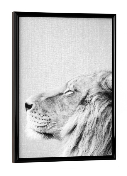 Poster mit schwarzem Rahmen "Lion Portrait - Black & White" artboxONE - Tiere,Schwarzweiß,Reise / Afrika