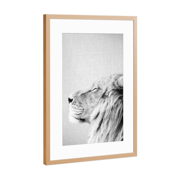 Poster mit Rahmen Kupfer "Lion Portrait - Black & White" artboxONE - Tiere,Schwarzweiß,Reise / Afrika