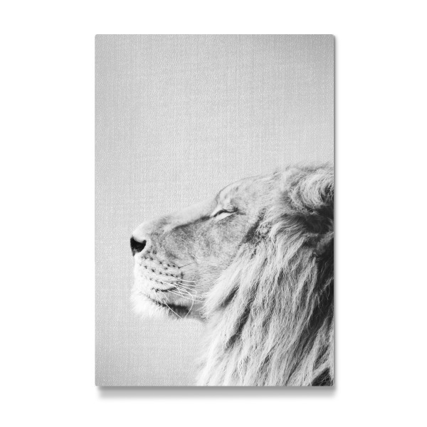 Galerie-Print "Lion Portrait - Black & White" 30x20 cm artboxONE