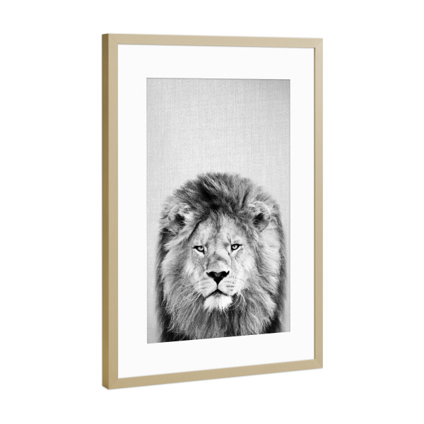 Poster mit Rahmen Gold "Lion - Black & White" artboxONE - Tiere,Schwarzweiß
