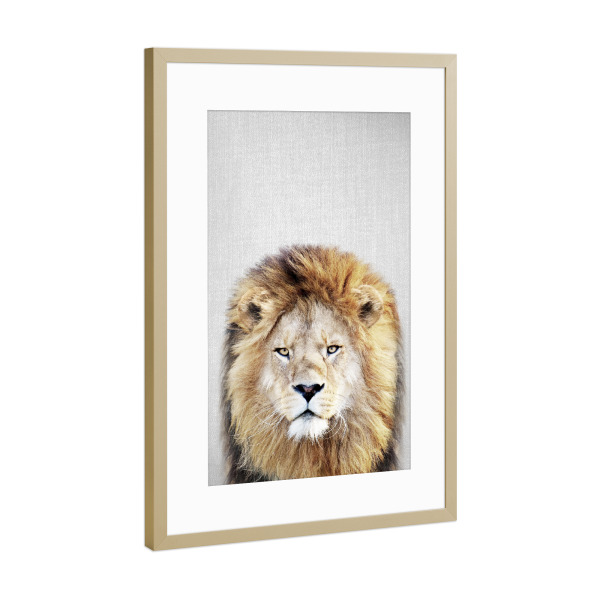 Poster mit Rahmen Gold "Lion - Colorful" artboxONE - Tiere,Reise / Afrika