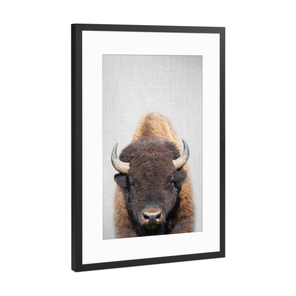 Poster mit Rahmen Schwarz (Metallic) "Buffalo - Colorful" artboxONE - Tiere