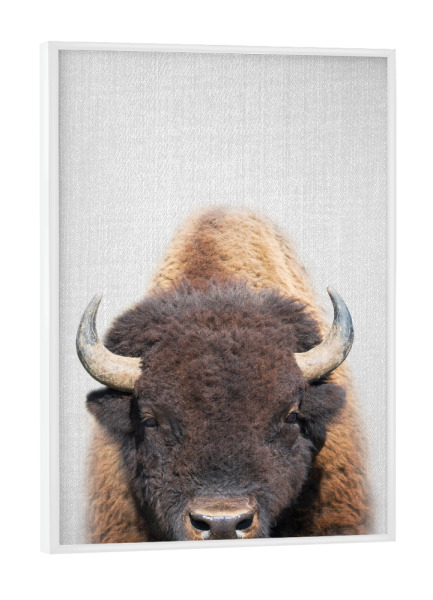 Poster mit weißem Rahmen "Buffalo - Colorful" artboxONE - Tiere