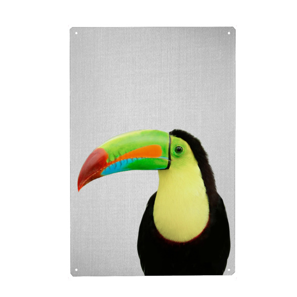 Holzbild "Toucan - Colorful" artboxONE - Tiere