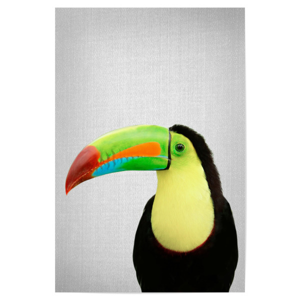 Poster 30x20 cm "Toucan - Colorful" artboxONE - Tiere