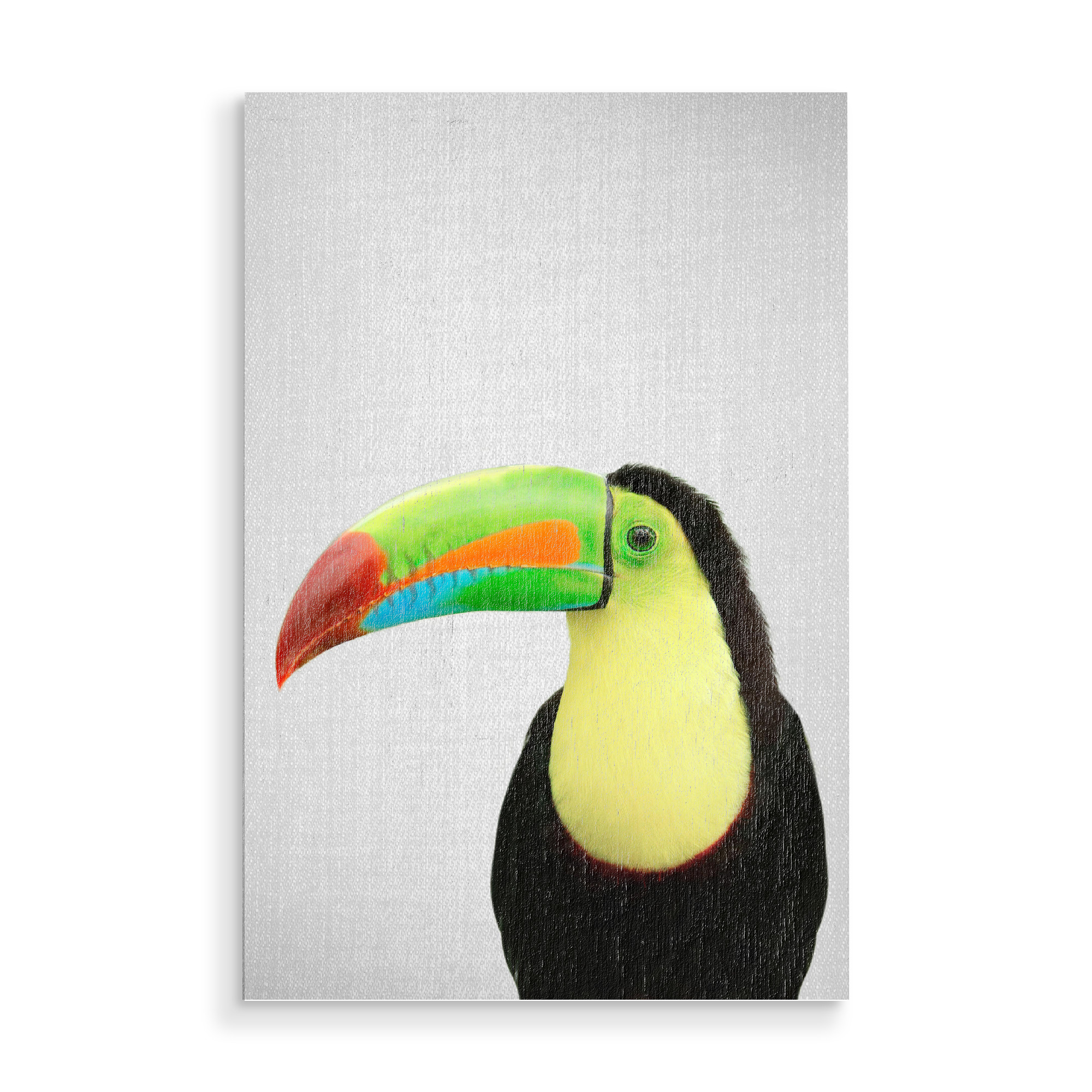 Holzbild "Toucan - Colorful" artboxONE - Tiere