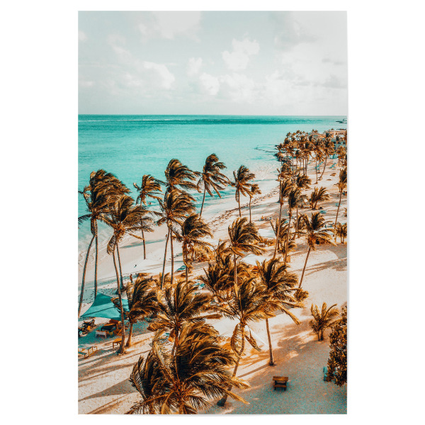 Poster "Beach Life" artboxONE - Natur - Color,Digital manipulation,Beach,Island,Nature,Landscape,Sea,Coconut tree,Palms,Tropical,Sand,Swim,Summer