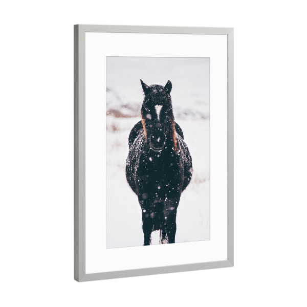 Poster mit Rahmen Silber "Horse in the snow" artboxONE - Tiere - Horse,Winter,Animals