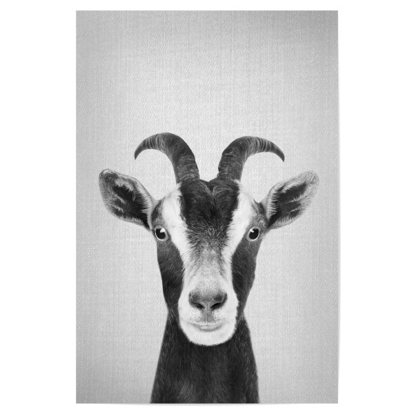 Poster "Goat - Black & White" artboxONE - Tiere,Schwarzweiß