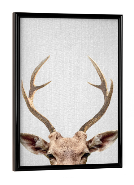 Poster mit schwarzem Rahmen "Deer - Colorful" artboxONE - Tiere
