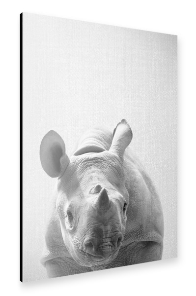 Alu-Dibond "Baby Rhino - Black & White" 30x20 cm artboxONE