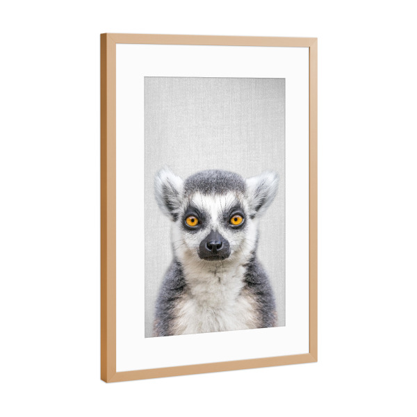 Poster mit Rahmen Kupfer "Lemur - Colorful" artboxONE - Tiere