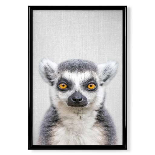 Lemur - Colorful