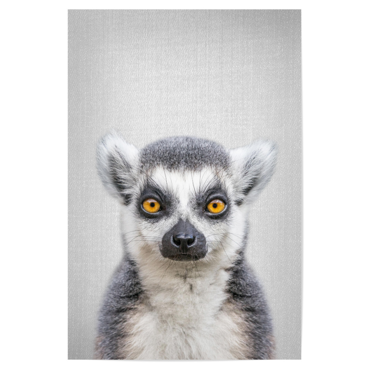 Lemur - Colorful als Poster bei artboxONE kaufen