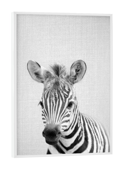 Poster mit weißem Rahmen "Baby Zebra - Black & White" artboxONE - Tiere,Schwarzweiß