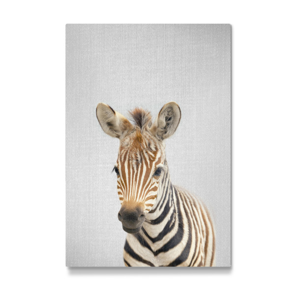 Galerie-Print "Baby Zebra - Colorful" 30x20 cm artboxONE