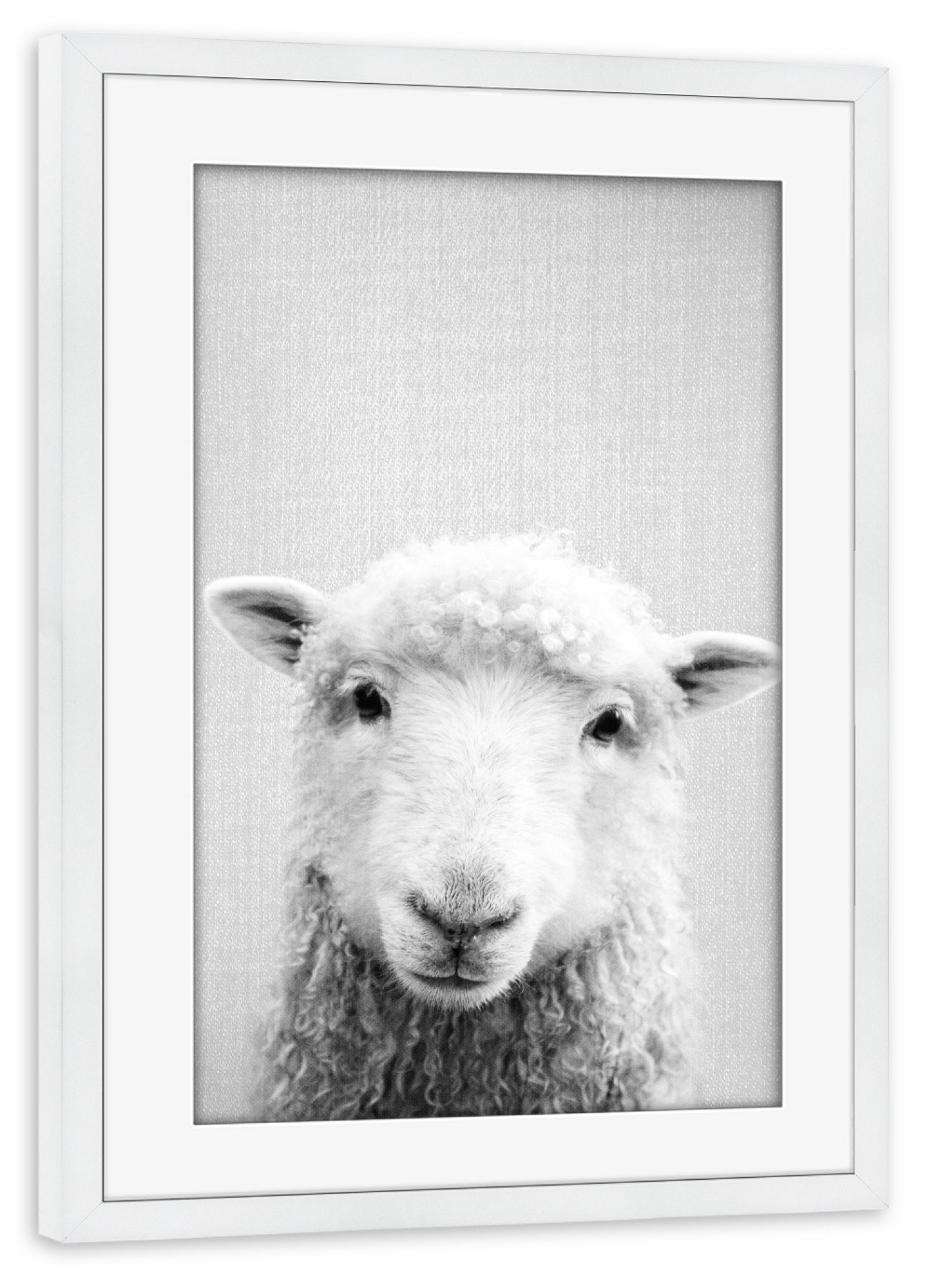 Poster mit Rahmen weiß "Sheep - Black & White" artboxONE - Natur,Für Kinder,Tiere,Schwarzweiß,Liebe,Für Mama,Für Papa,Lustig