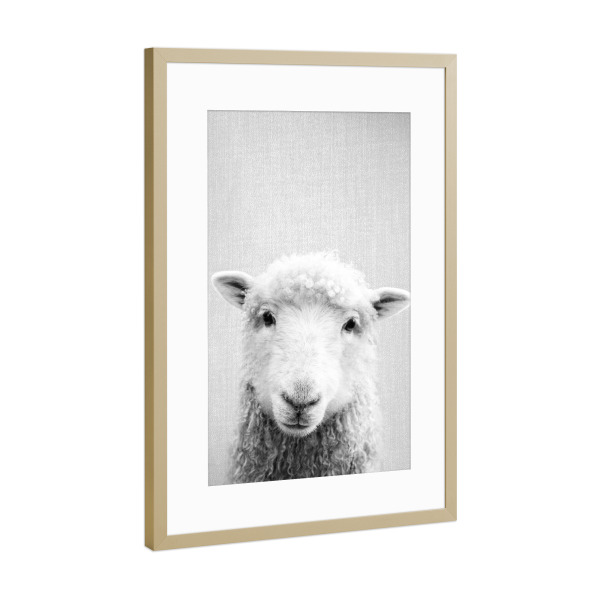 Poster mit Rahmen Gold "Sheep - Black & White" artboxONE - Natur,Für Kinder,Tiere,Schwarzweiß,Liebe,Für Mama,Für Papa,Lustig