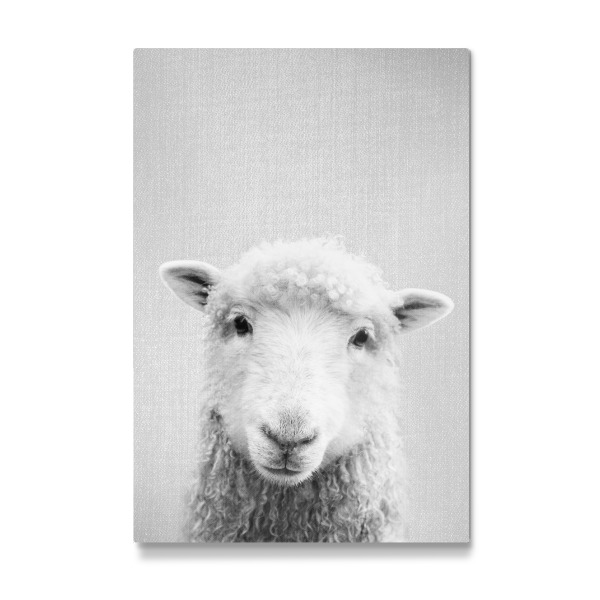 Galerie-Print "Sheep - Black & White" 30x20 cm artboxONE