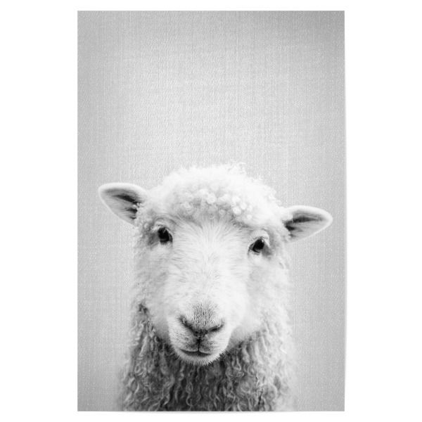 Poster 30x20 cm "Sheep - Black & White" artboxONE - Natur,Für Kinder,Tiere,Schwarzweiß,Liebe,Für Mama,Für Papa,Lustig
