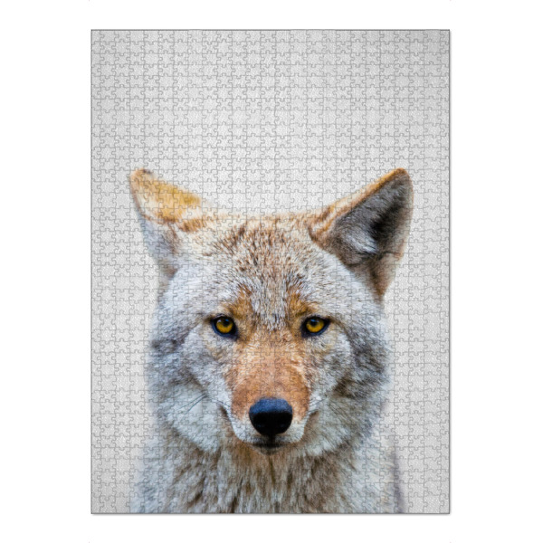 Puzzle Ravensburger "Coyote - Colorful" artboxONE - Tiere