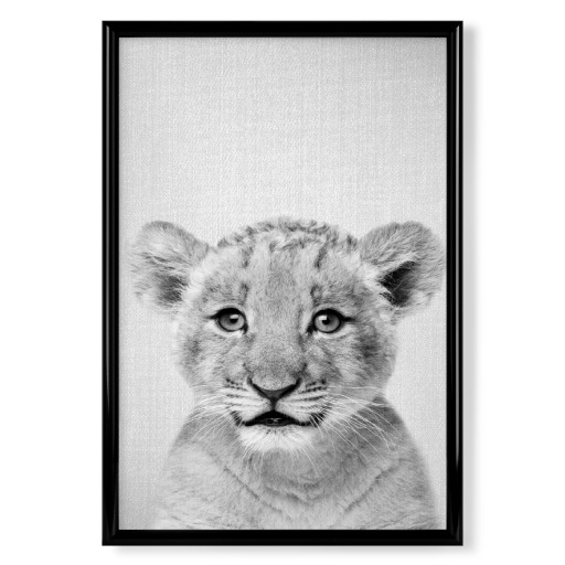 Baby Lion - Black & White