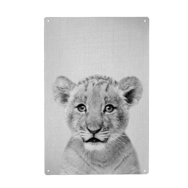 Metall Poster "Baby Lion - Black & White" artboxONE - Tiere,Schwarzweiß