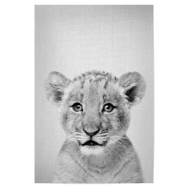 Poster 30x20 cm "Baby Lion - Black & White" artboxONE - Tiere,Schwarzweiß