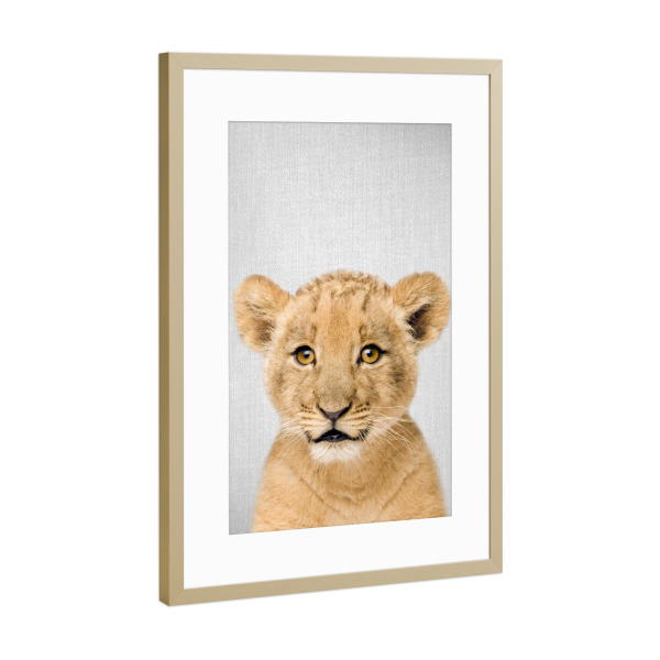 Poster mit Rahmen Gold "Baby Lion - Colorful" artboxONE - Tiere