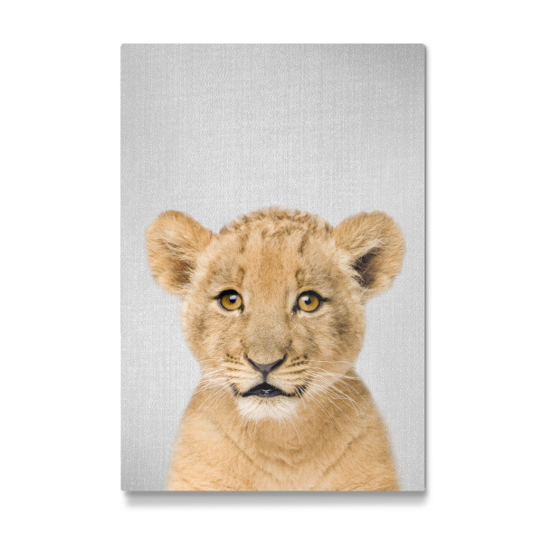 Galerie-Print "Baby Lion - Colorful" 30x20 cm artboxONE