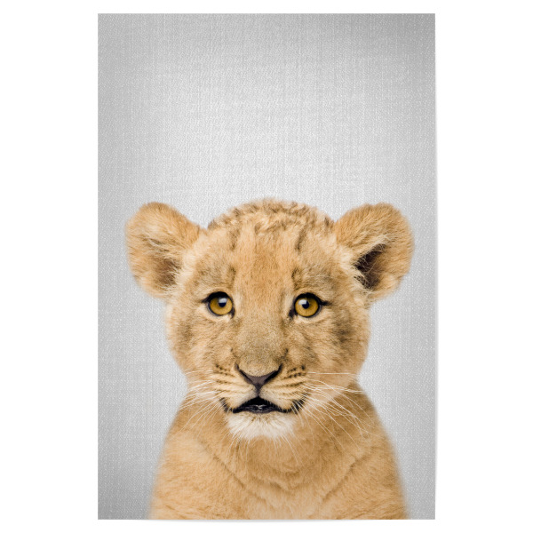 Poster "Baby Lion - Colorful" artboxONE - Tiere