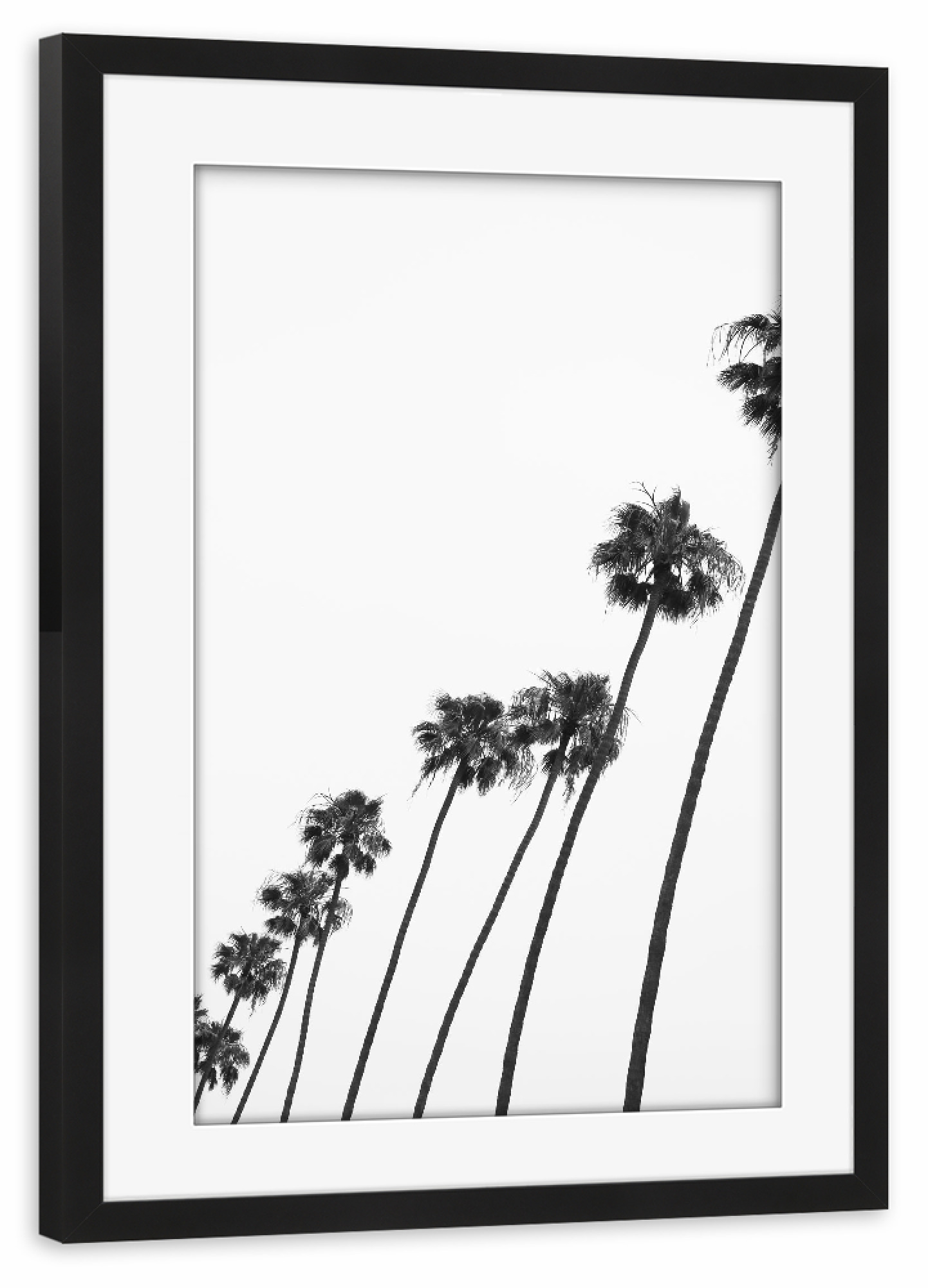 Poster mit Rahmen schwarz "Cali Cathedrals" artboxONE - Natur,Schwarzweiß,Städte / Los Angeles