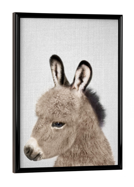 Poster mit schwarzem Rahmen "Donkey - Colorful" artboxONE - Natur,Für Kinder,Tiere,Liebe,Lustig