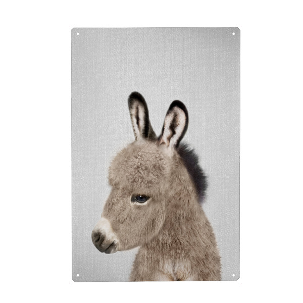 Metall Poster "Donkey - Colorful" artboxONE - Natur,Für Kinder,Tiere,Liebe,Lustig